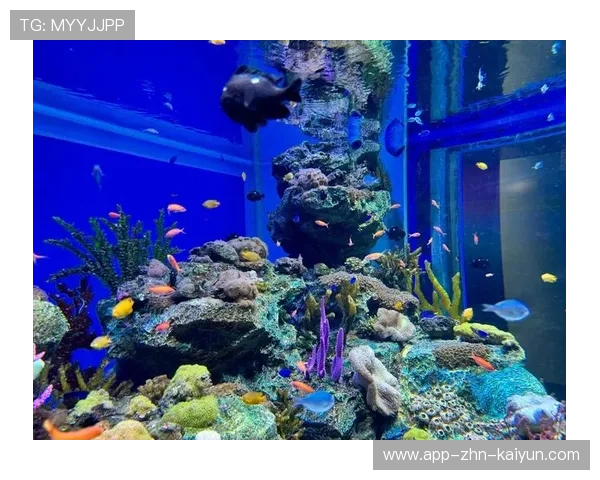 海底探险潜水比赛，开启深海奇妙之旅，潜水探索海底世界